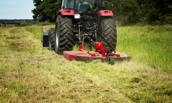 Brush Clearing Service in Richmond