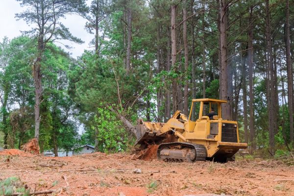 Cost of Property Clearing in Richmond