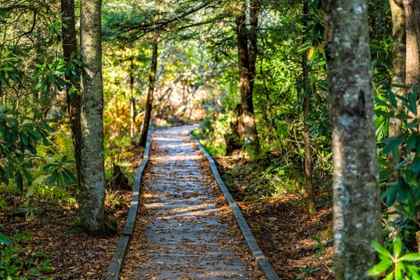 Cost of Trail Clearing in Richmond