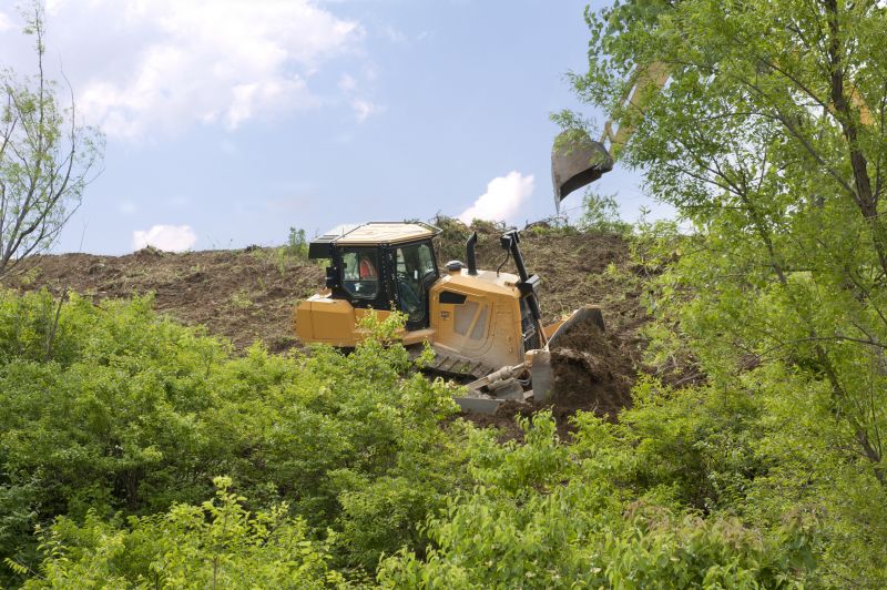 Bulldozer Clearing