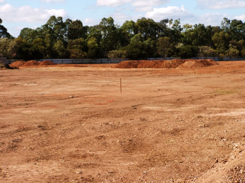 Brush Clearing Services